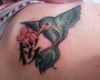 sakura hummingbird tattoo